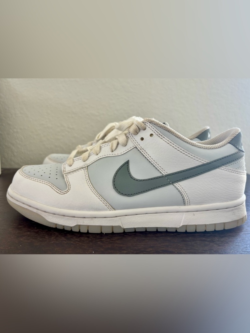 Nike Kids Dunk Low in White and Gray Swoosh